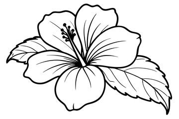hibiscus line art silhouette vector illustration
