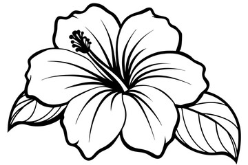 hibiscus line art silhouette vector illustration