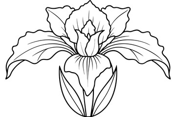 iris line art silhouette vector illustration