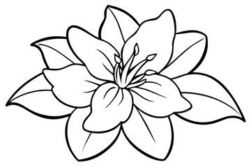 jasmine flower line art silhouette vector illustration