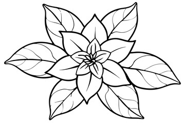 Fototapeta premium jasmine flower line art silhouette vector illustration