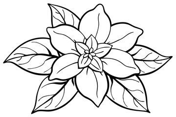 jasmine flower line art silhouette vector illustration
