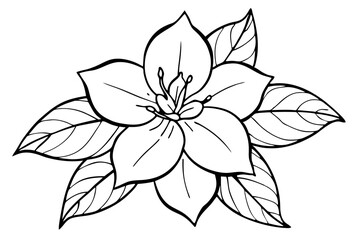 jasmine flower line art silhouette vector illustration