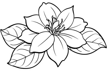 jasmine flower line art silhouette vector illustration