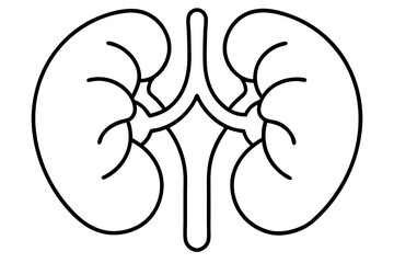 kidneys line art silhouette vector illustration