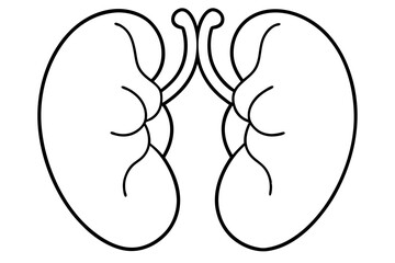 kidneys line art silhouette vector illustration