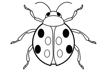 ladybird insect line art silhouette vector illustration