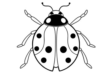 ladybird insect line art silhouette vector illustration