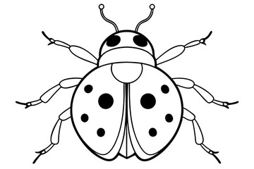 ladybird insect line art silhouette vector illustration
