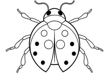ladybird insect line art silhouette vector illustration