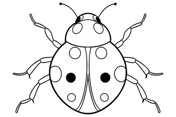 ladybird insect line art silhouette vector illustration
