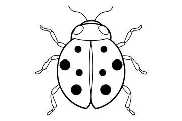 ladybird insect line art silhouette vector illustration