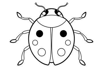 ladybird insect line art silhouette vector illustration