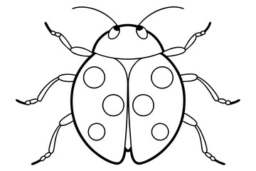 ladybird insect line art silhouette vector illustration
