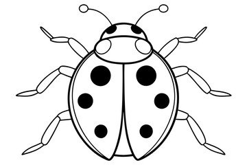 ladybird insect line art silhouette vector illustration