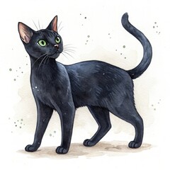Сat breeds illustrated in watercolor style, showcasing a Bombay cat with vibrant features