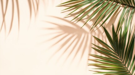 Fototapeta premium Palm Leaves And Their Shadows On A Light Surface.