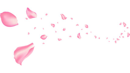 rose and sakura flying petal romantic background vector