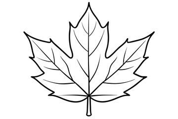 maple leaf line art silhouette vector illustration