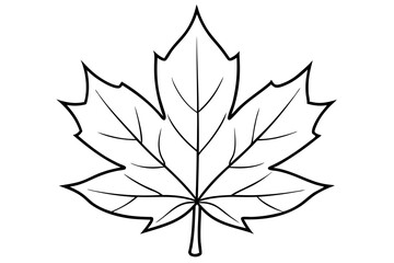 maple leaf line art silhouette vector illustration