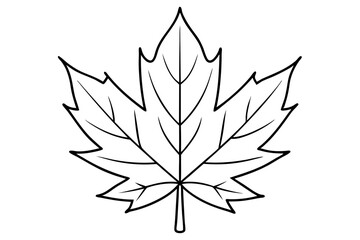 maple leaf line art silhouette vector illustration