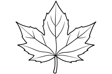 maple leaf line art silhouette vector illustration