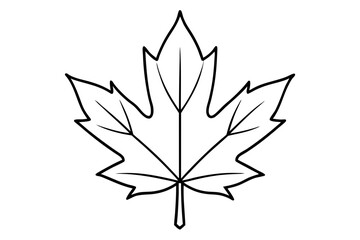 maple leaf line art silhouette vector illustration