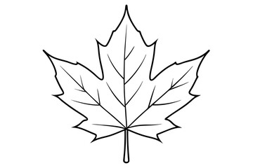 maple leaf line art silhouette vector illustration