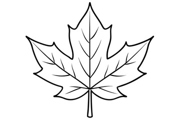 maple leaf line art silhouette vector illustration