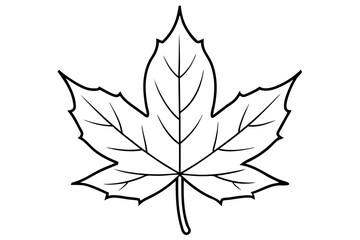 maple leaf line art silhouette vector illustration