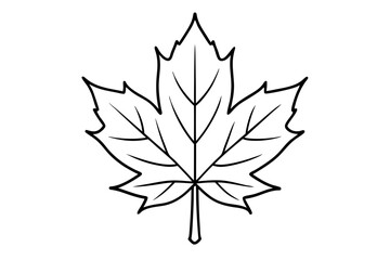 maple leaf line art silhouette vector illustration