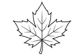 Obraz premium maple leaf line art silhouette vector illustration