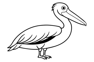 pelican line art silhouette vector illustration