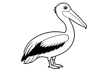 pelican line art silhouette vector illustration