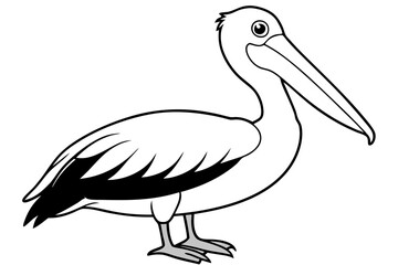 pelican line art silhouette vector illustration