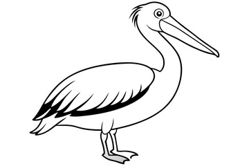 pelican line art silhouette vector illustration
