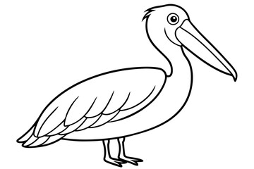 pelican line art silhouette vector illustration