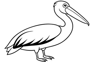 pelican line art silhouette vector illustration