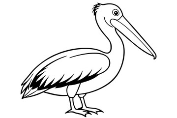 pelican line art silhouette vector illustration