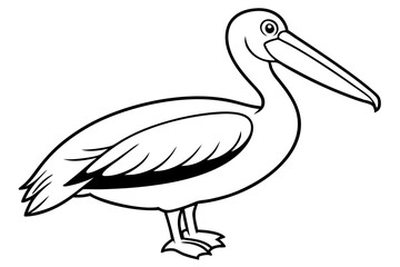 pelican line art silhouette vector illustration