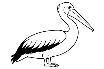 pelican line art silhouette vector illustration