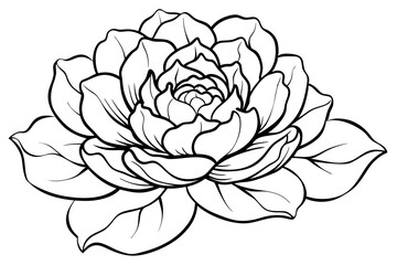peony line art silhouette vector illustration