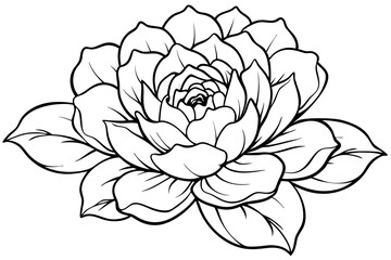 peony line art silhouette vector illustration