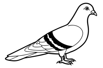 pigeon line art silhouette vector illustration