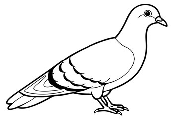 pigeon line art silhouette vector illustration