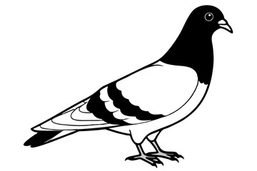 pigeon line art silhouette vector illustration