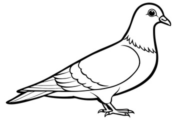 pigeon line art silhouette vector illustration