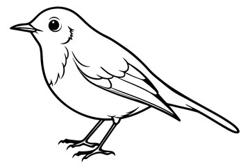 robin bird line art silhouette vector illustration