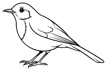 robin bird line art silhouette vector illustration