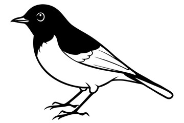 robin bird line art silhouette vector illustration